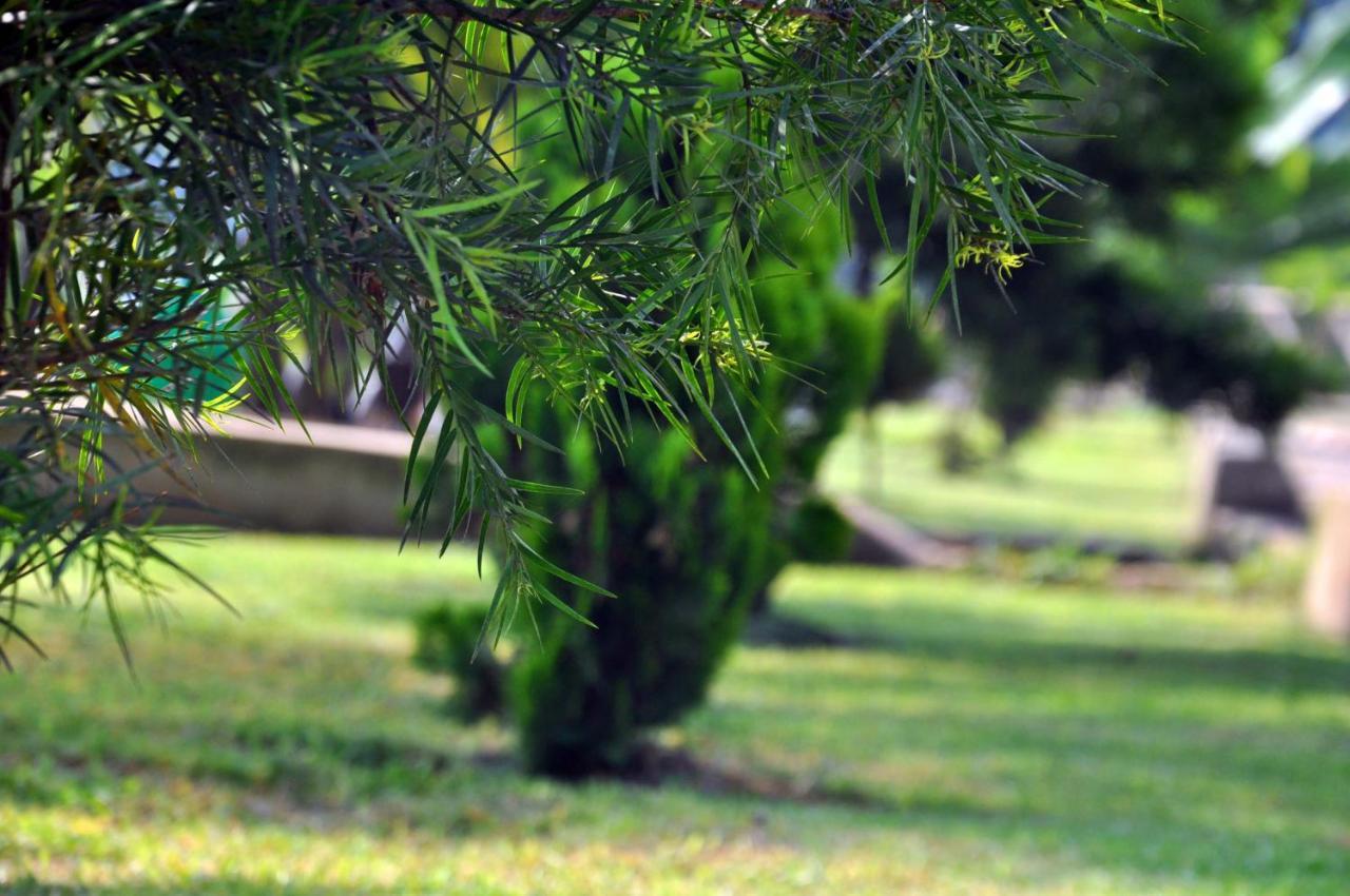 Riverside Resort Hotel Kabale Εξωτερικό φωτογραφία